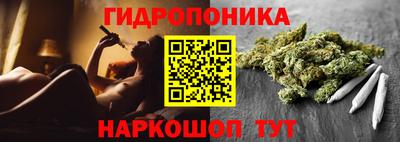 прущие грибы Волжск