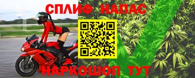 прущие грибы Волжск