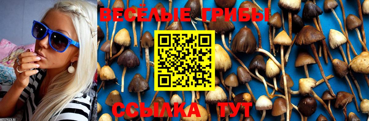 Псилоцибиновые грибы GOLDEN TEACHER Нефтеюганск